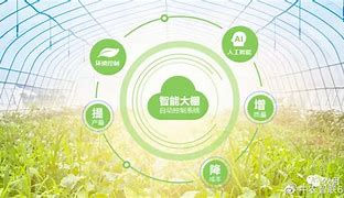 2024年，济南高新区宣布以高新东区为主阵地，全面开启“三次创业”